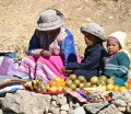 Colca Canyon, road-side fruit sellers